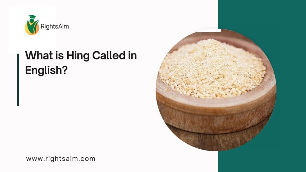 What is Hing Called in English?