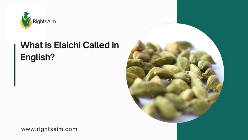 What is Elaichi Called in English?